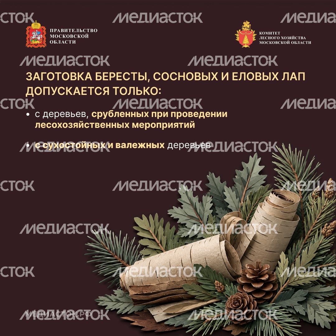 Недревесные ресурсы для собственных нужд Квадрат 06