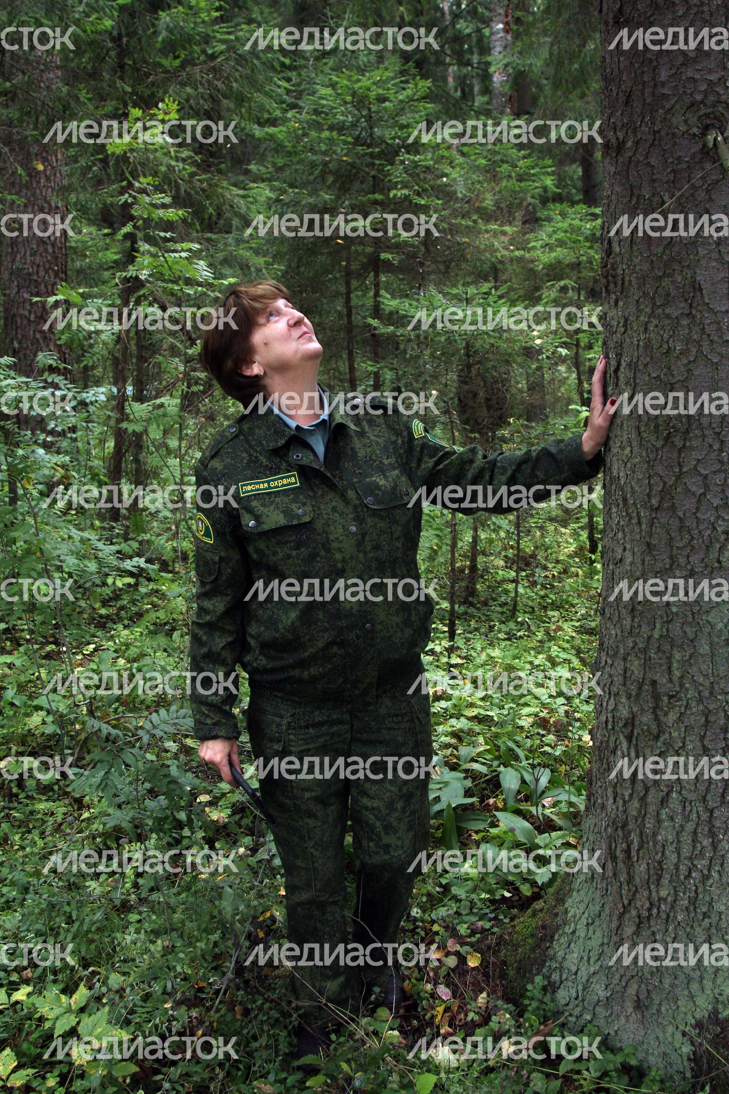 Звенигородский филиал «Мособллеса»
