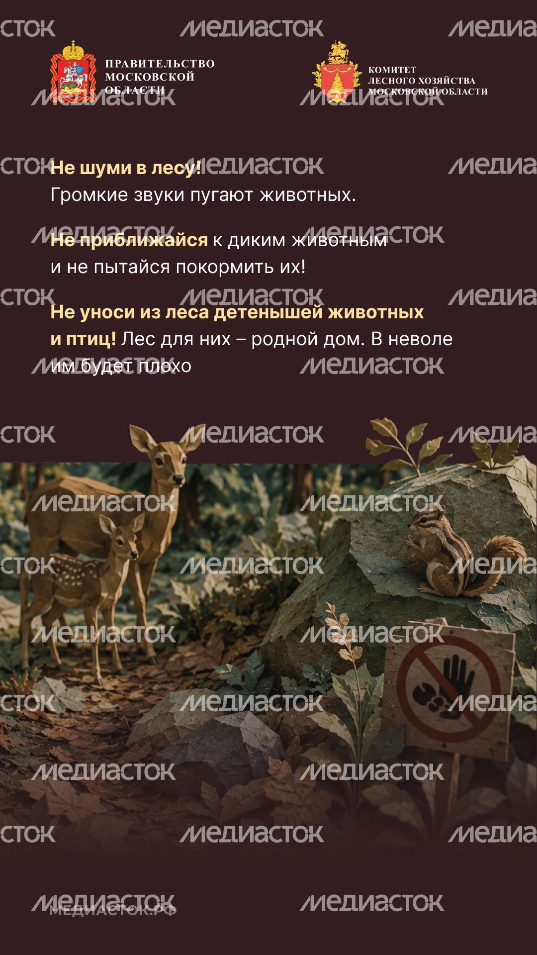 Пребывание граждан в лесах Вертикаль 06 Пребывание граждан в лесах Вертикаль 06