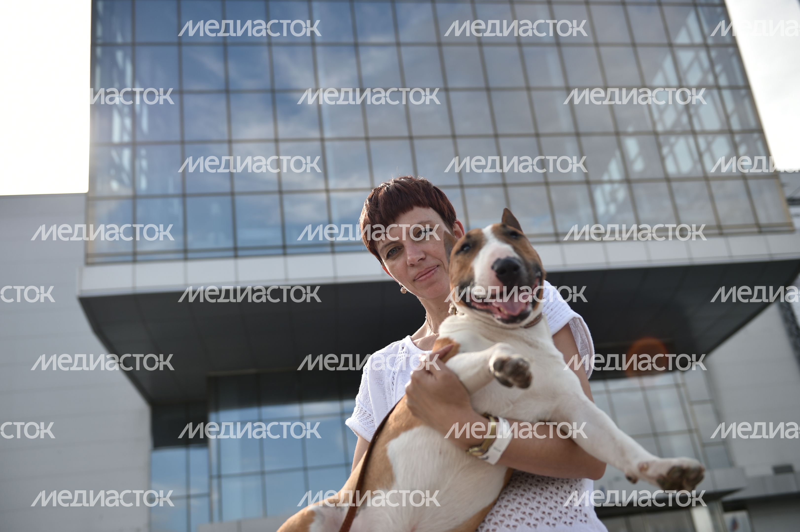 Всемирная выставка собак World Dog Show 2016 в МВЦ «Крокус Экспо» Всемирная выставка собак World Dog Show 2016 в МВЦ «Крокус Экспо»