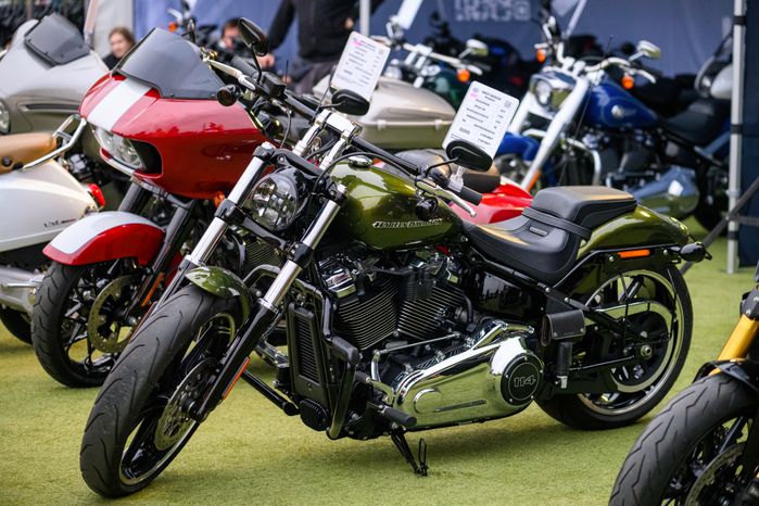 14-й ежегодный мотофестиваль Biker Brothers Festival в Домодедовском округе