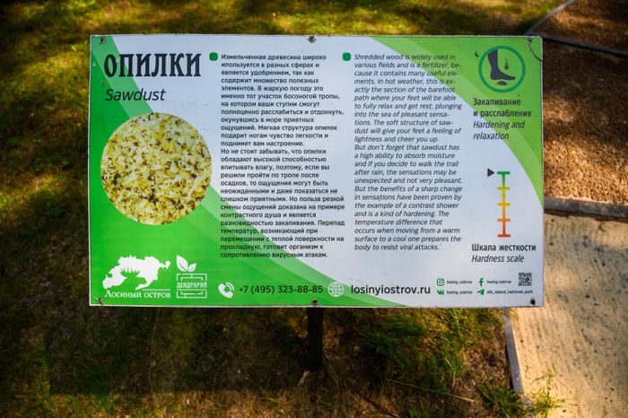 Эколого-просветительский комплекс "Дендрарий" в Мытищах
