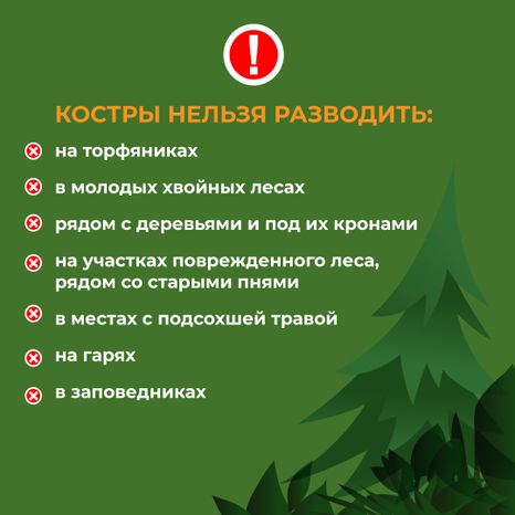 комлесхоз_костер_кв_4.jpg