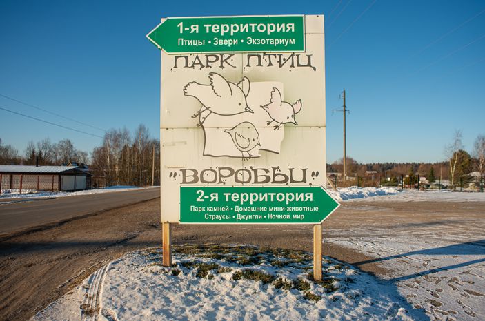 Зимний Парк Птиц «Воробьи»