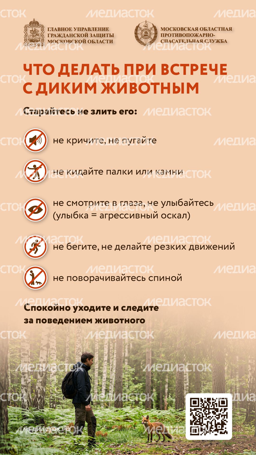 Что делать при встрече с диким животным вертикаль 04 Что делать при встрече с диким животным вертикаль 04