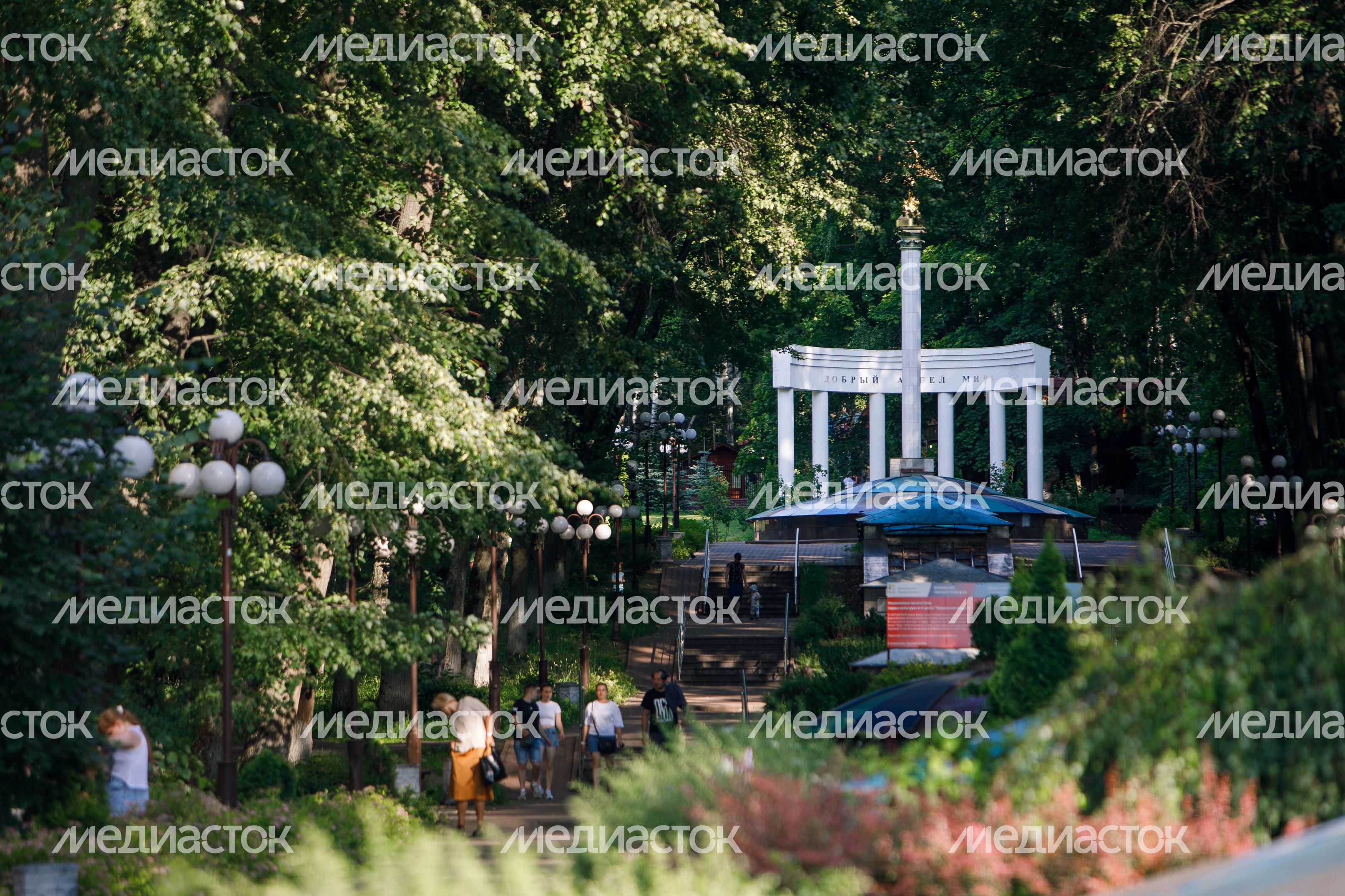 Дмитров. Парк Березовая роща Дмитров. Парк Березовая роща