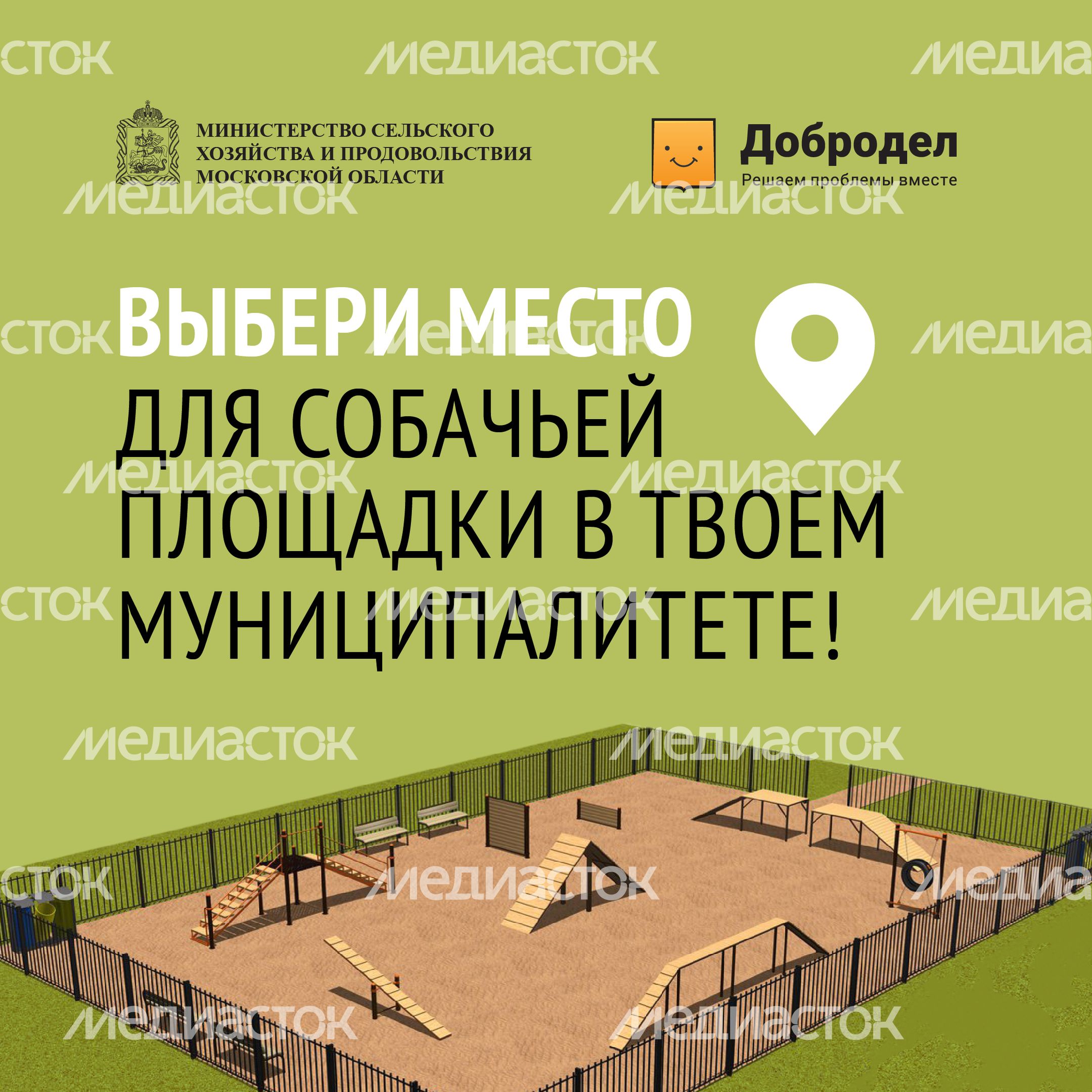 Голосование. Собачьи площадки-11.jpg