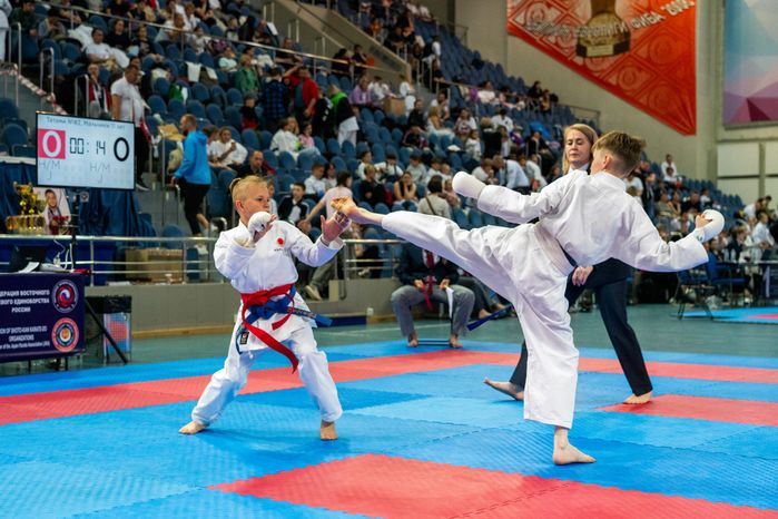 Чемпионат и Первенство России по восточному боевому единоборству сетокан в городе Видное Ленинского округа