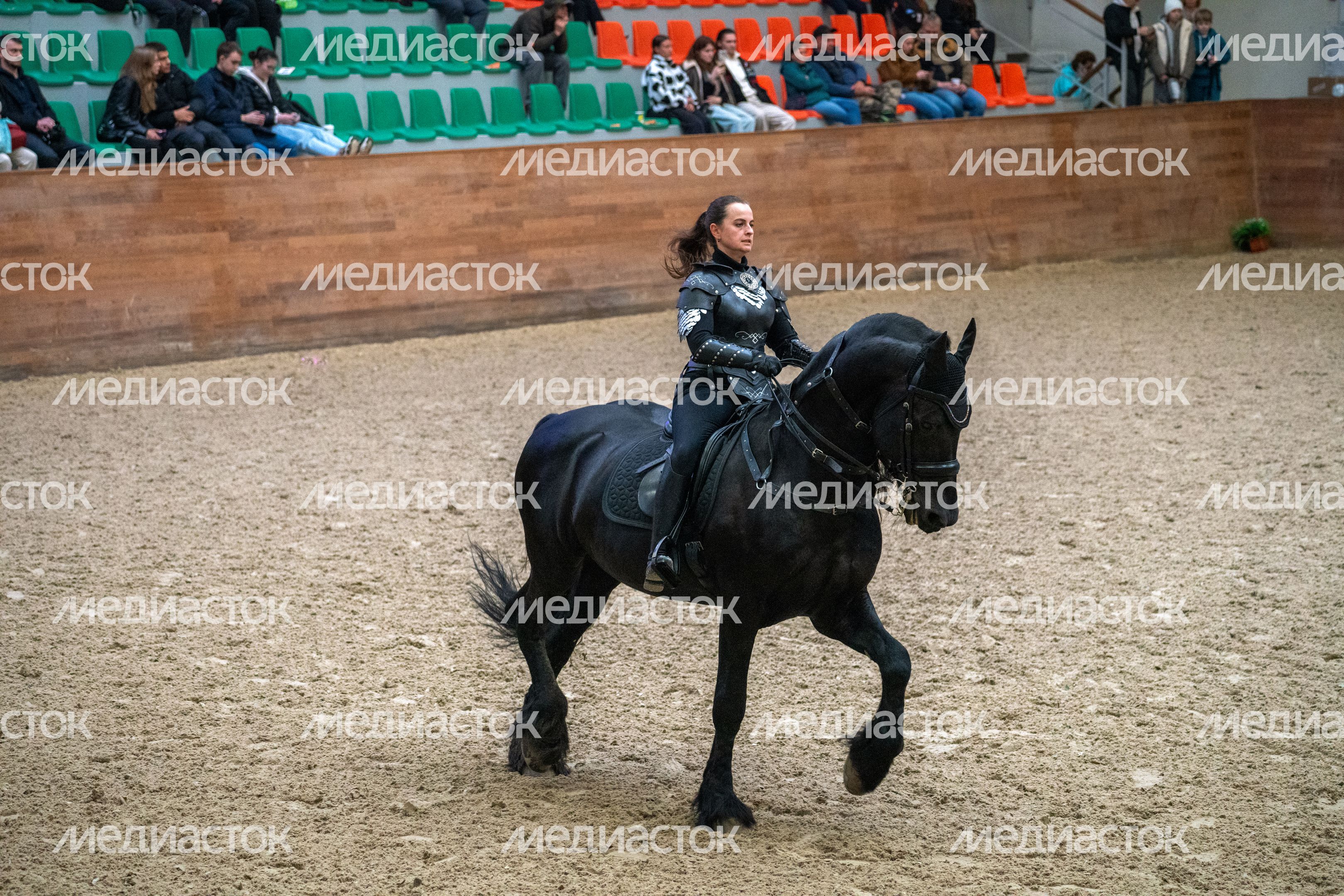Амазонка в костюмированном шоу на лошадях «Конная палитра» на Международной выставке «Конная Россия» в MAXIMA PARK Амазонка в костюмированном шоу на лошадях «Конная палитра» на Международной выставке «Конная Россия» в MAXIMA PARK