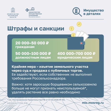 Борьба с борщевиком квадрат 03