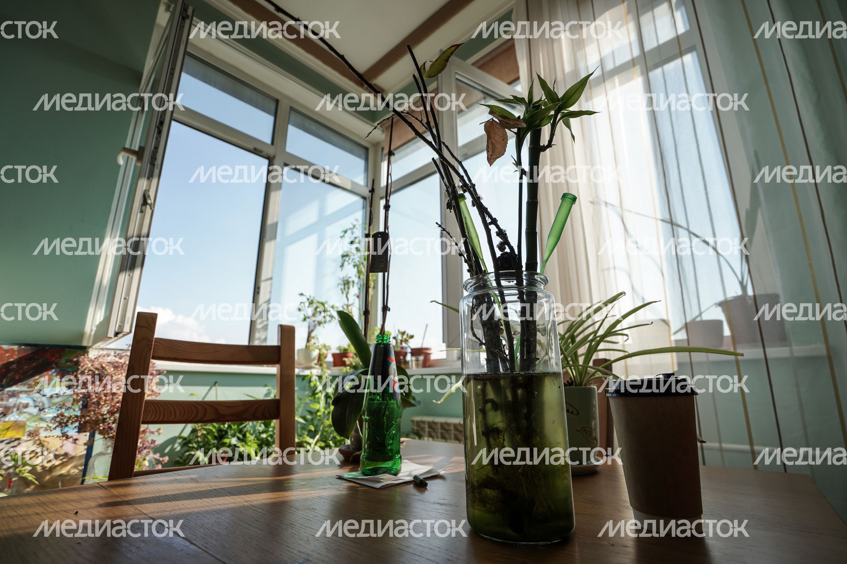 Коммуна на севере Москвы