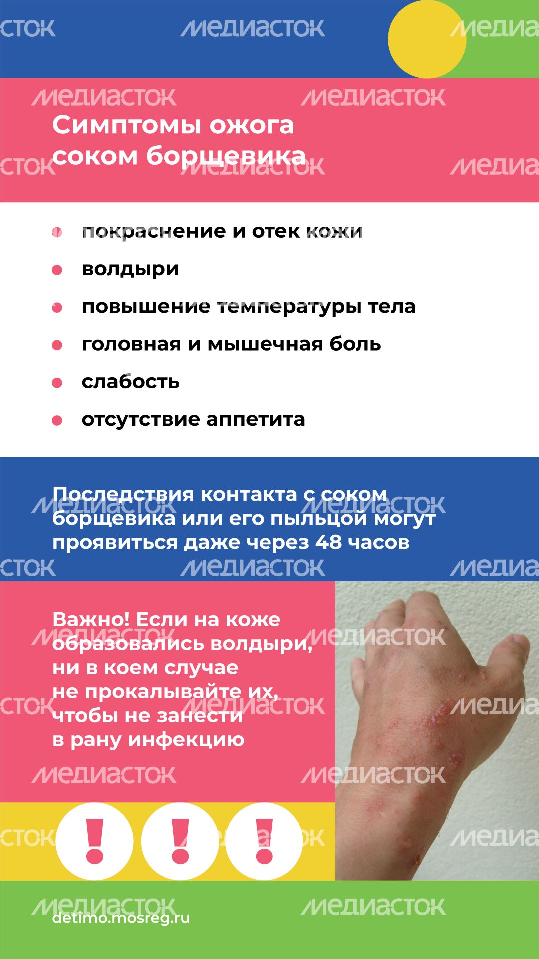 Вертикаль_Борщевик Сосновского_05.png