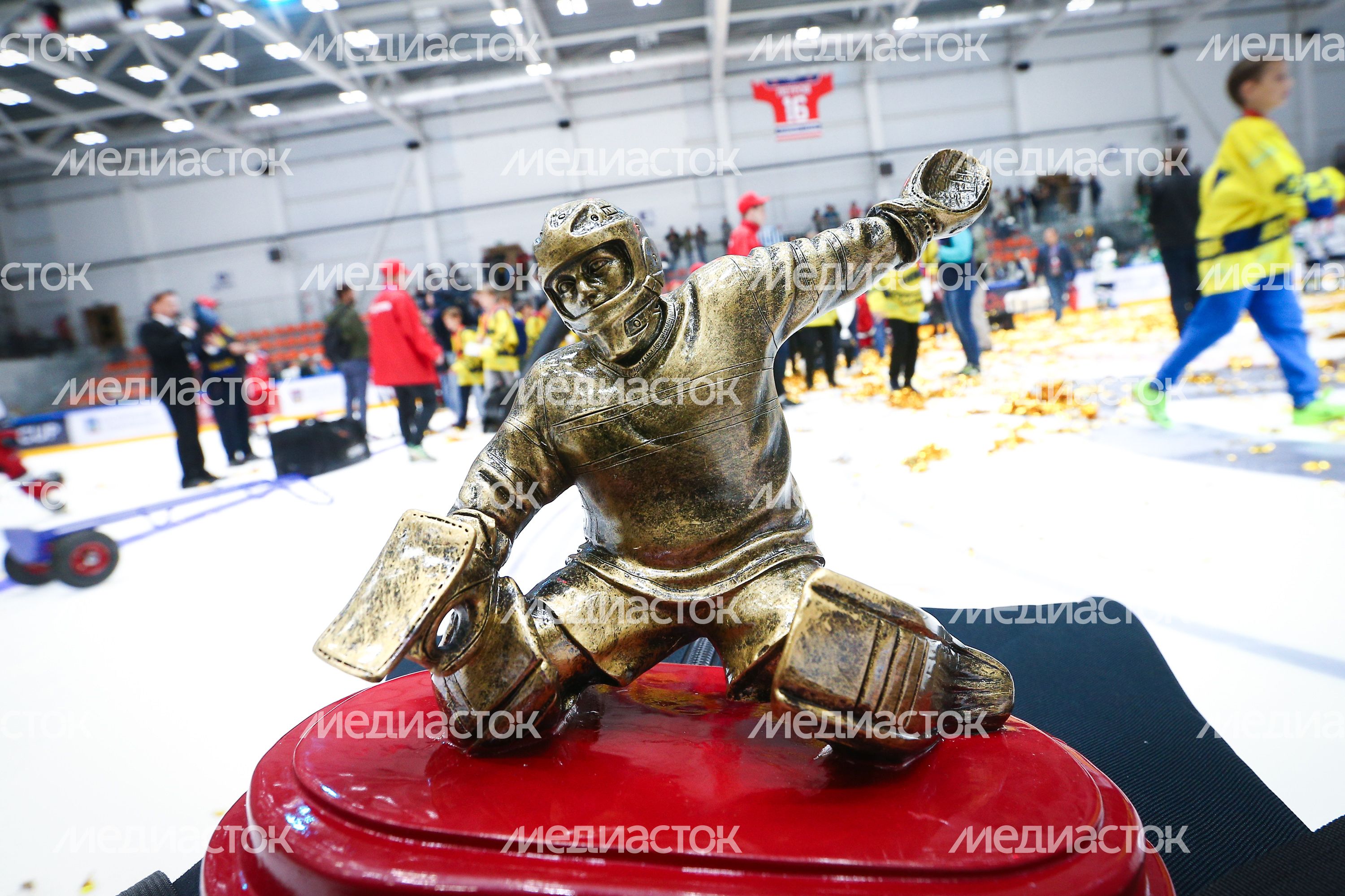 Визит Андрея Воробьева на хоккейный турнир OвиCup