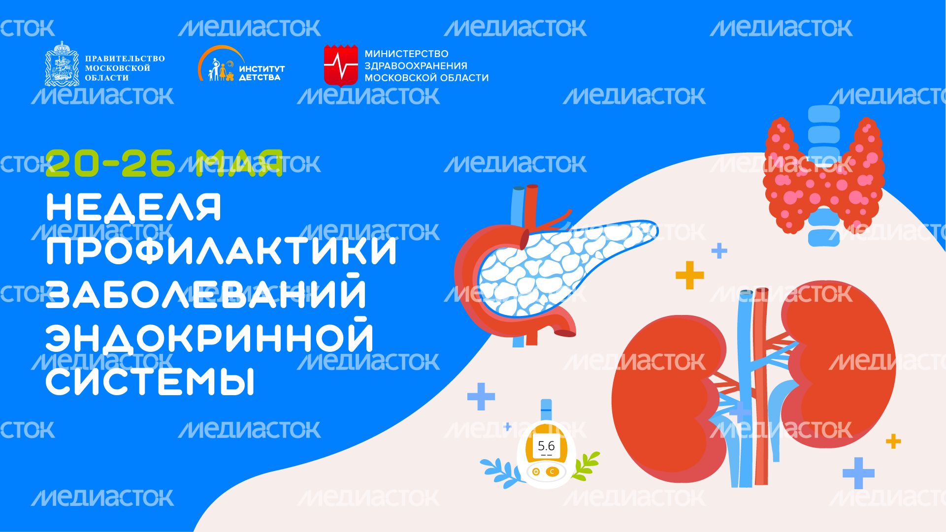 20-26 мая Неделя профилактики заболеваний эндокринной системы горизонталь