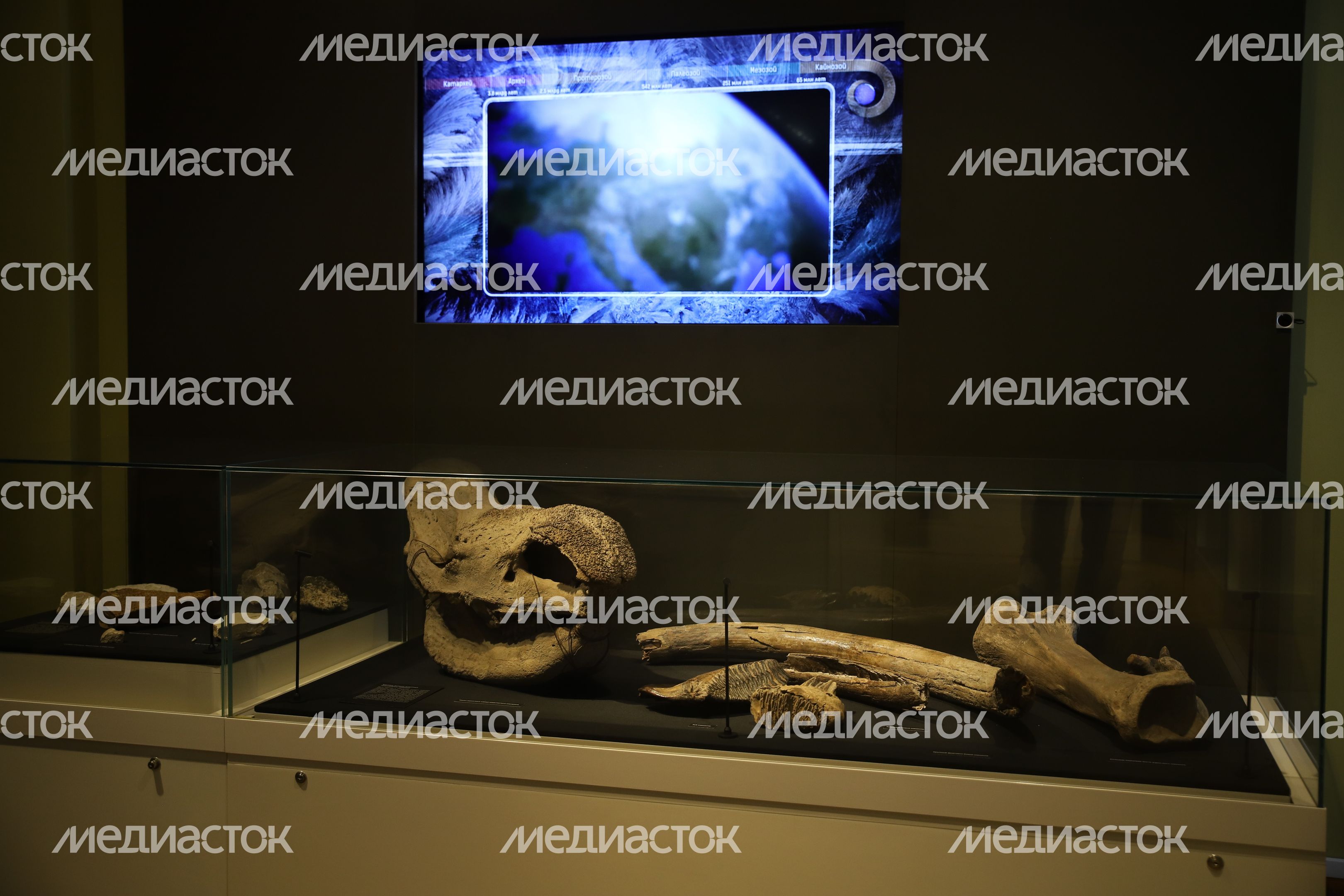 Зарайский кремль. Музей Зарайский кремль. Музей