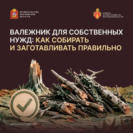 Валежник для собственных нужд квадрат 01