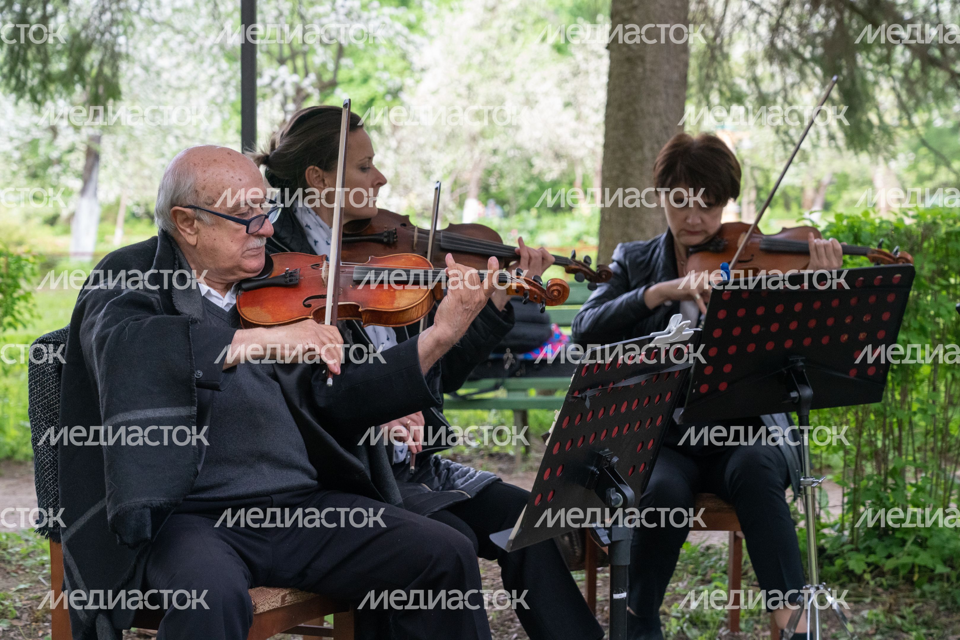 Мелиховская весна Мелиховская весна
