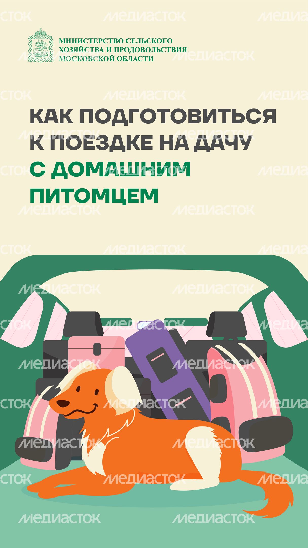 животные на даче вертикаль (1)
