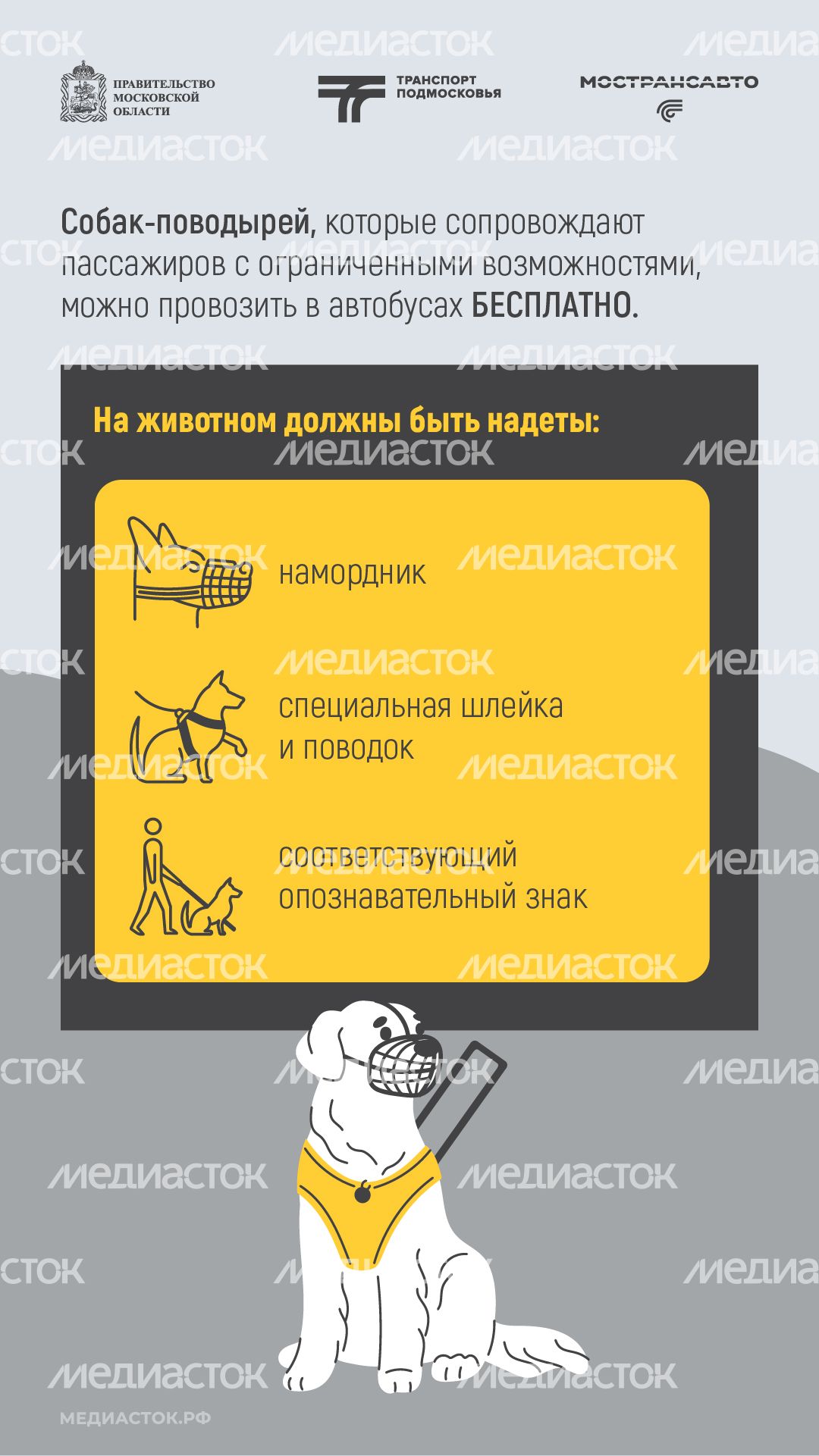 Правила перевозки животных вертикаль 03