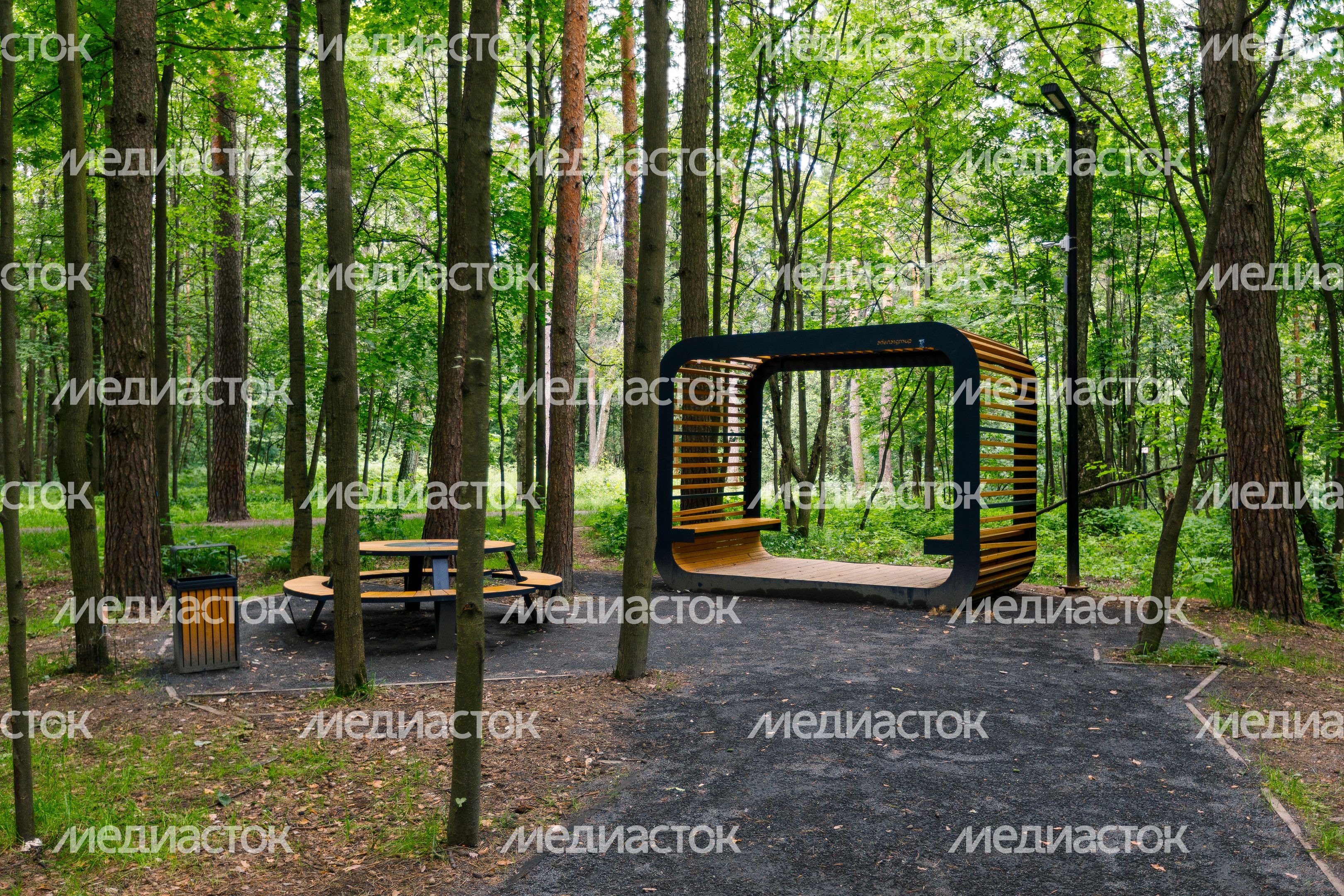 Площадка для пикника в лесопарке «Волкуша» в Лыткарино