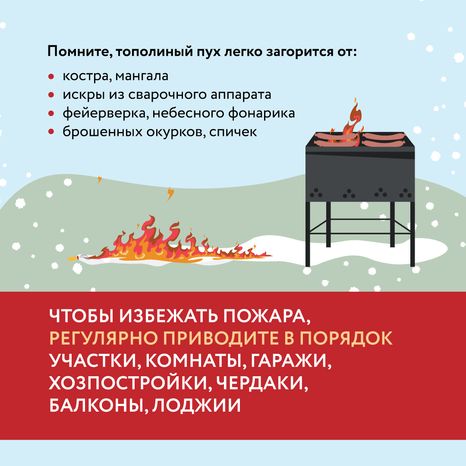 Тополиный пух