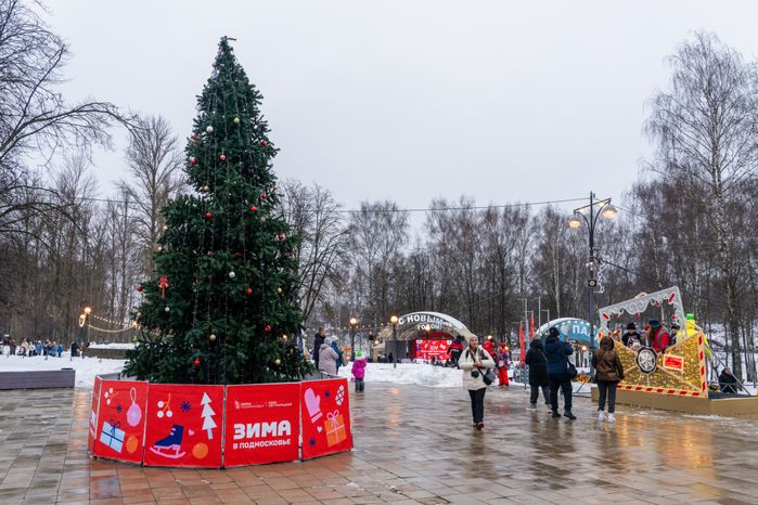 Сестрорецкий парк в Клину