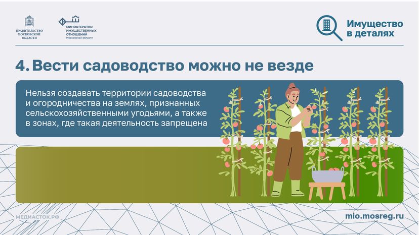 Новые правила для дачников горизонталь 06