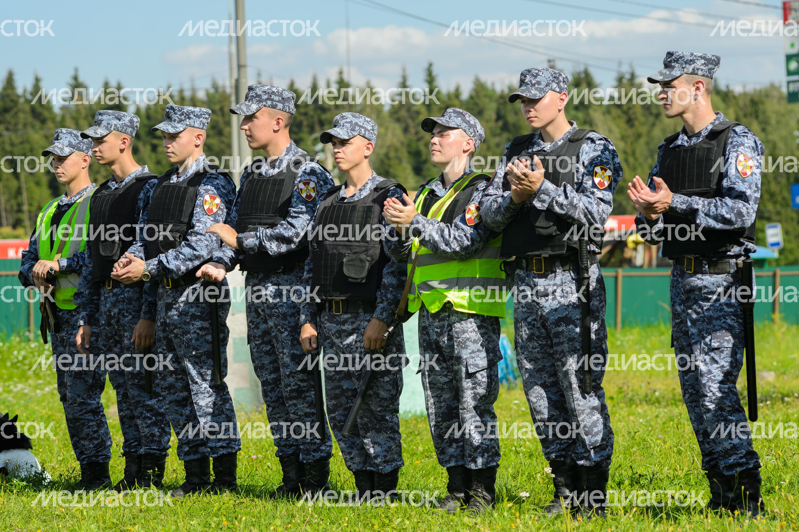 Мытищи. Шолохово. Военно-патриотический фестиваль Фронтовая собака Мытищи. Шолохово. Военно-патриотический фестиваль Фронтовая собака
