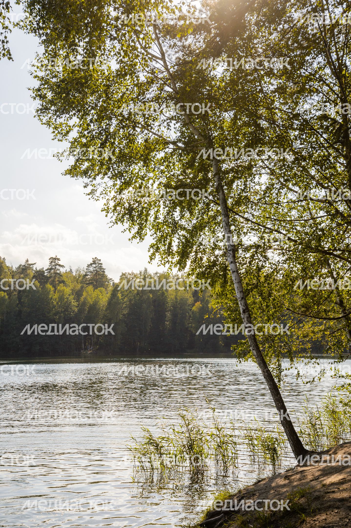 Озеро Северное в Черноголовке Озеро Северное в Черноголовке