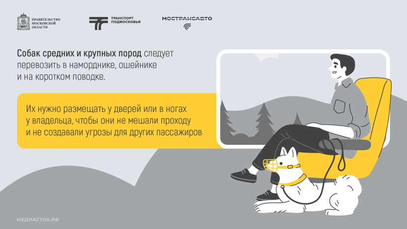 Правила перевозки животных горизонталь 05