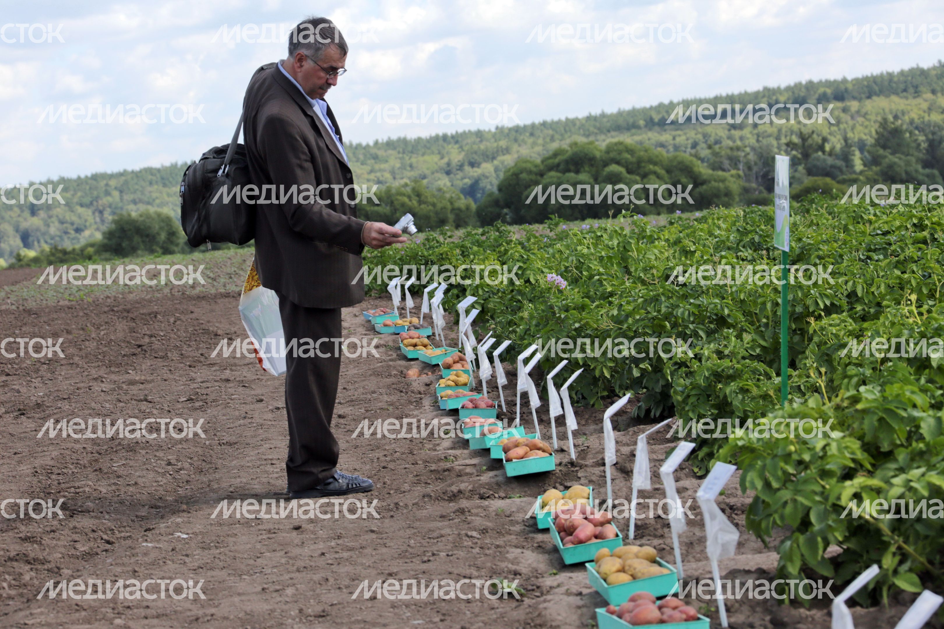 Праздник фермеров в агрофирме «Седек» Каширского района