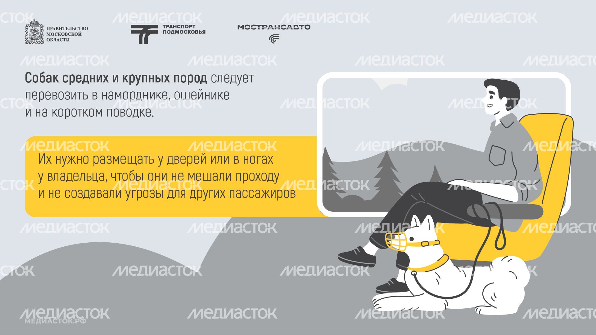 Правила перевозки животных горизонталь 05