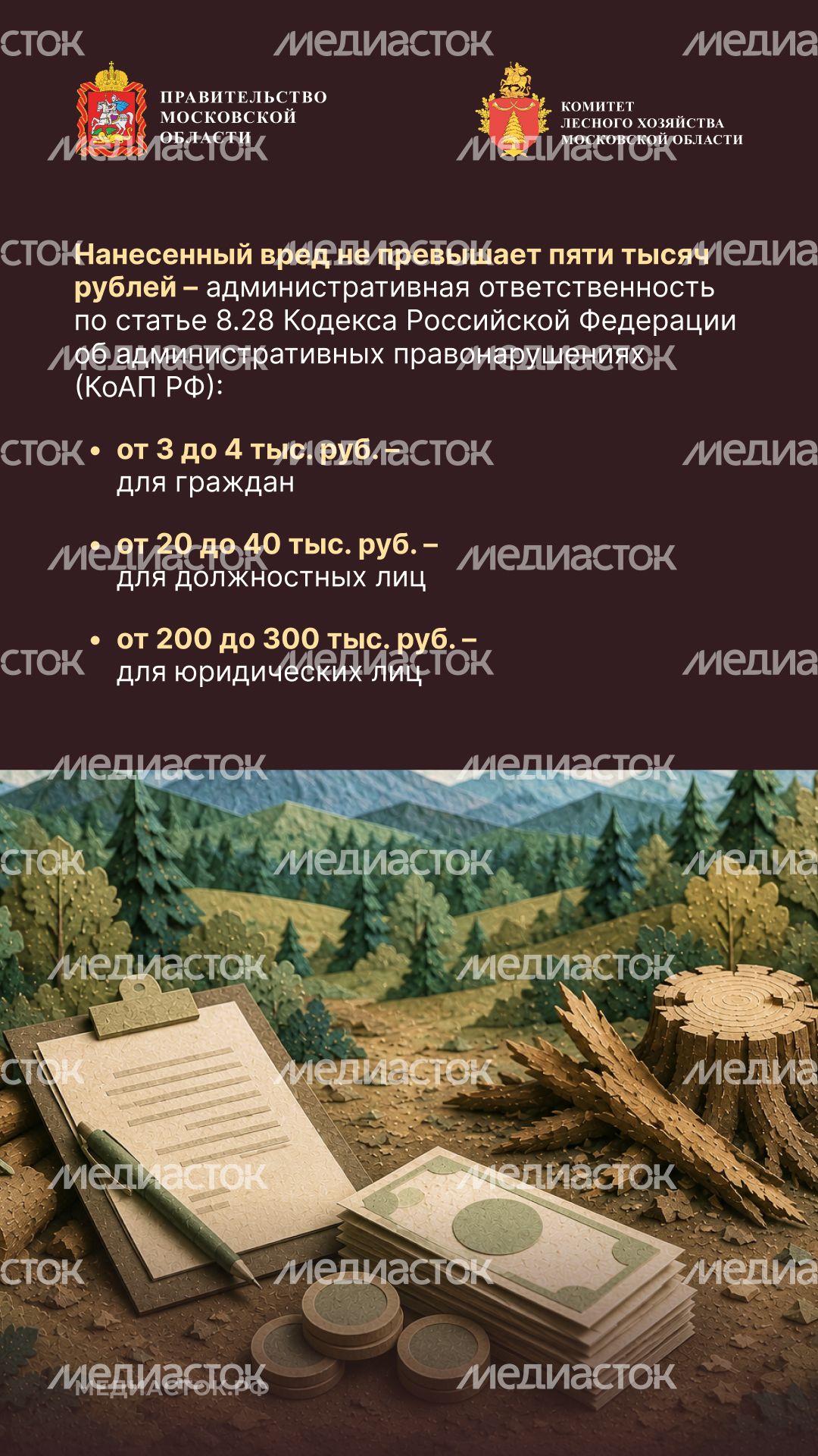 Незаконная рубка вертикаль 03