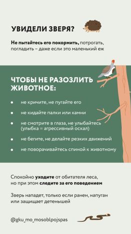 Вертикаль Безопасность в лесу 04.jpg