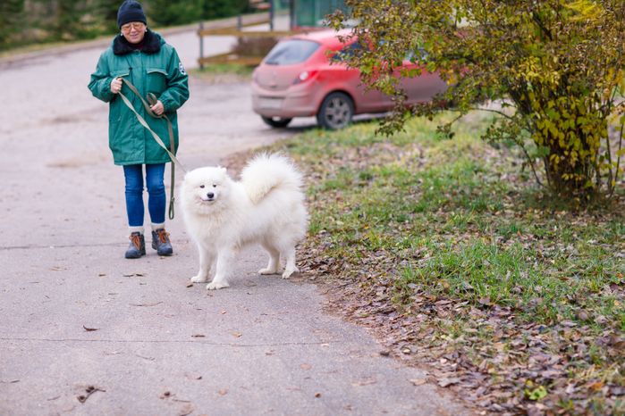 Волоколамск. Центр воспроизводства редких видов животных