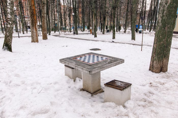 Центральный парк культуры и отдыха города Видное зимой