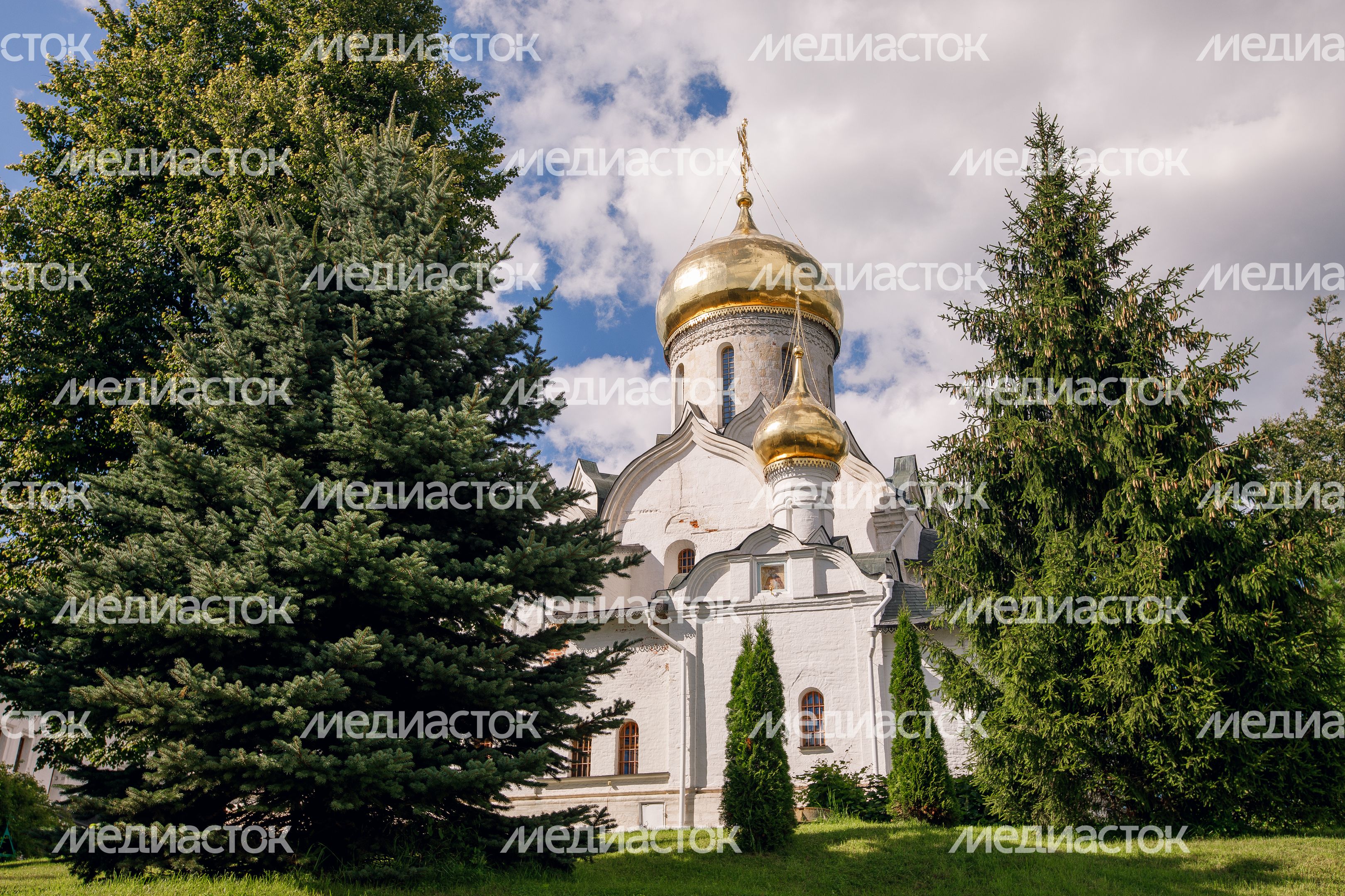 Звенигород. Саввино-Сторожевский монастырь Звенигород. Саввино-Сторожевский монастырь