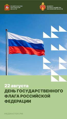 День Государственного флага Российской Федерации вертикаль 01