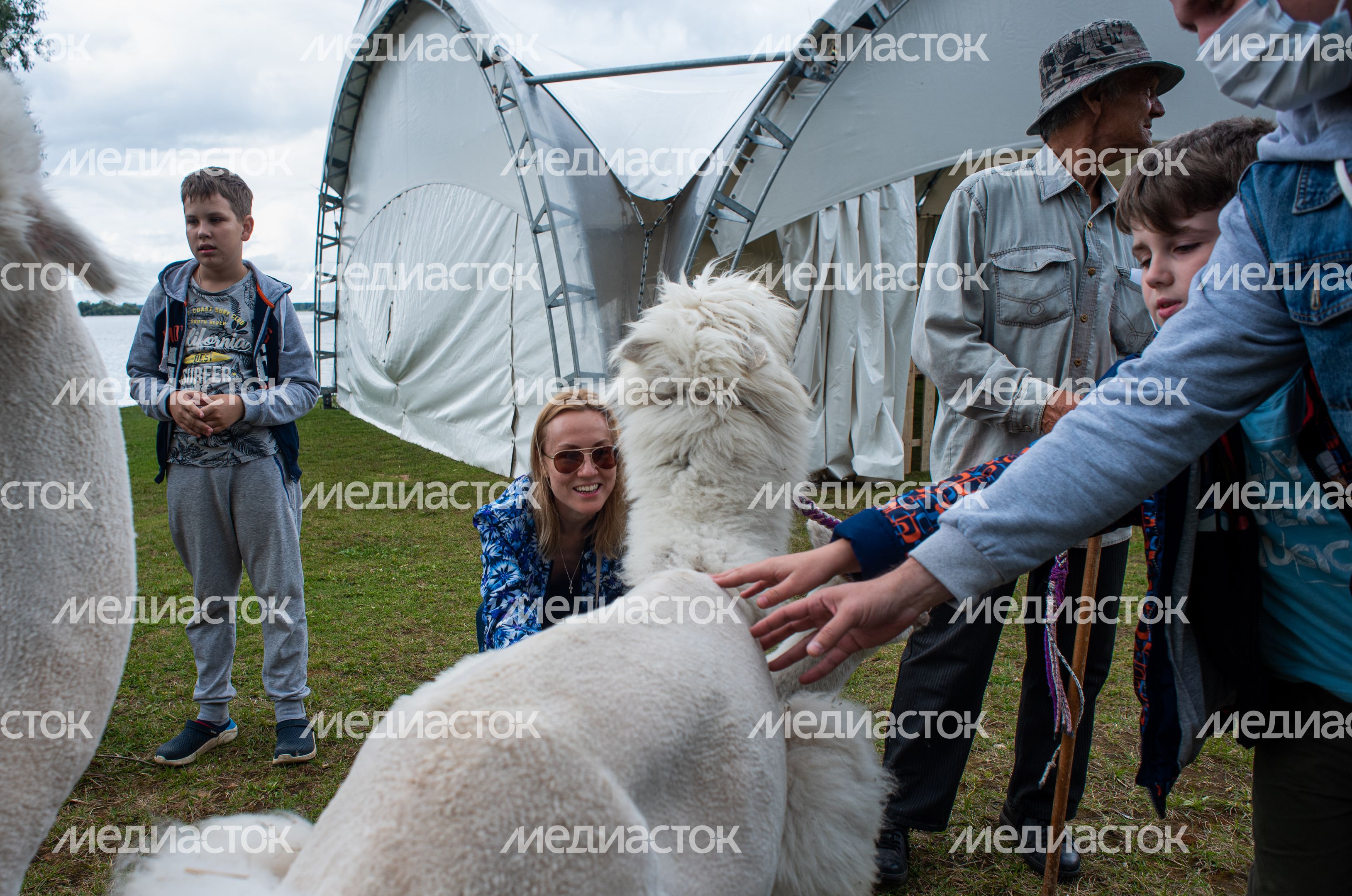 Гастрономический фестиваль Alpaca Wellbeing Fest