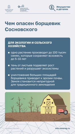 Борьба с борщевиком вертикаль 04