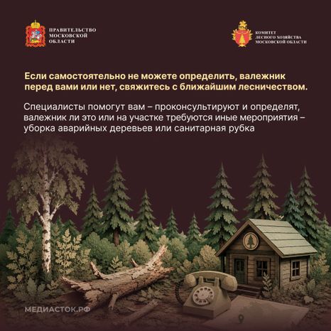 Валежник для собственных нужд квадрат 09