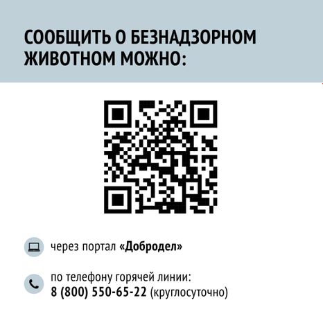 Безнадзорные животные