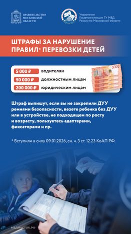 Мама, я пристегнулся Вертикаль 10