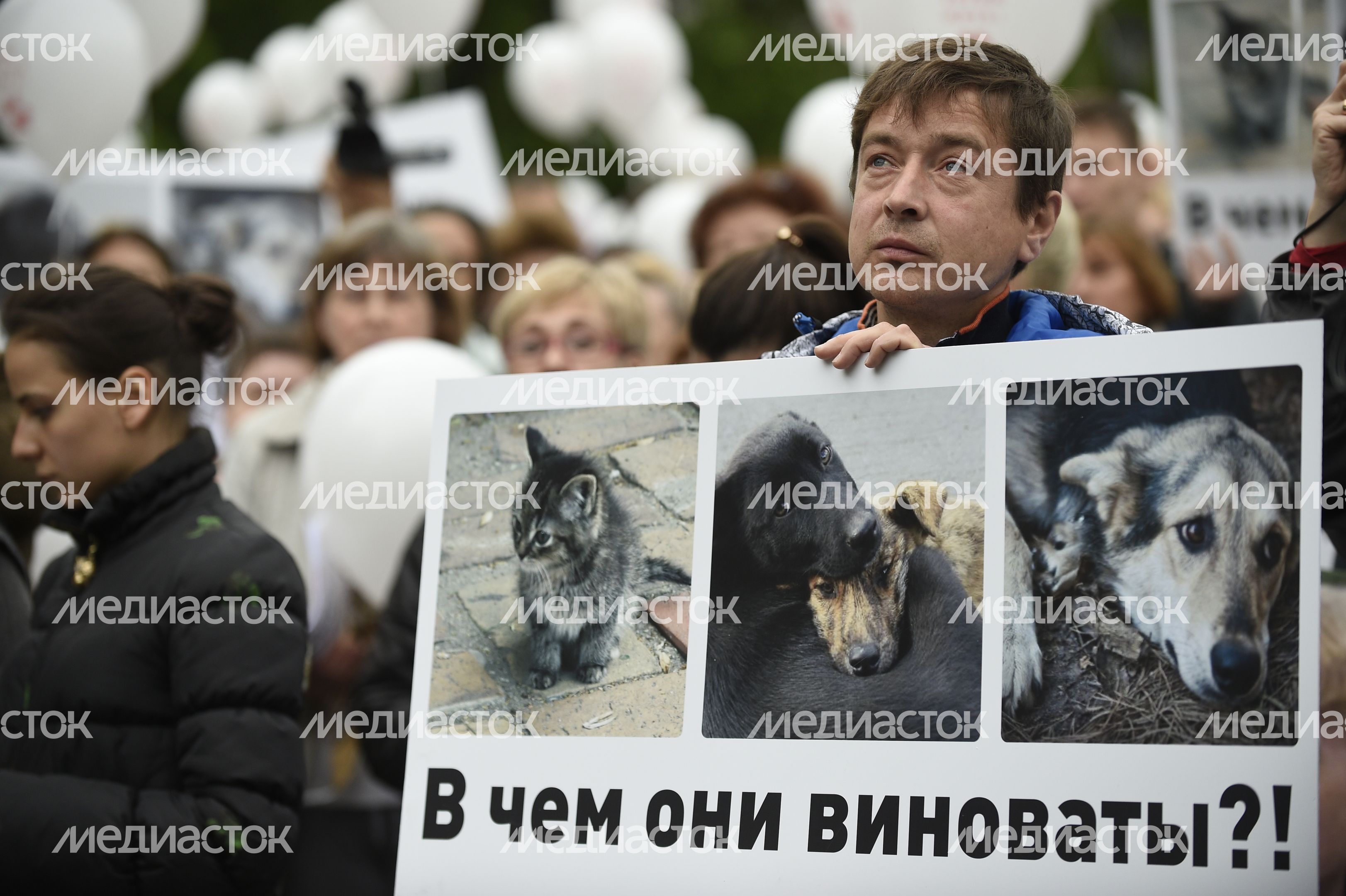 Митинг в защиту животных из приютов в Москве