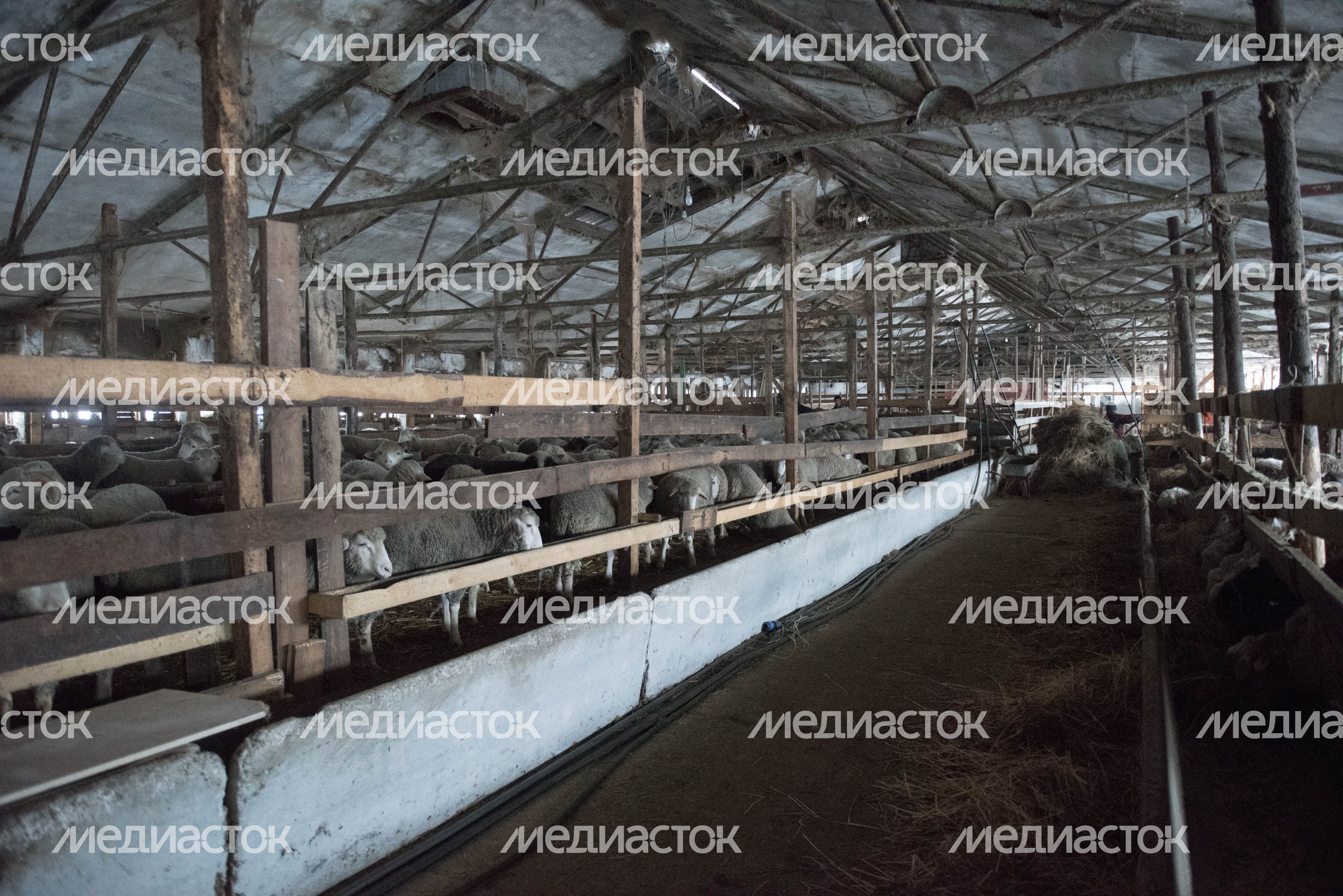 Деревня «Марс» в Московской области, 2 часть
