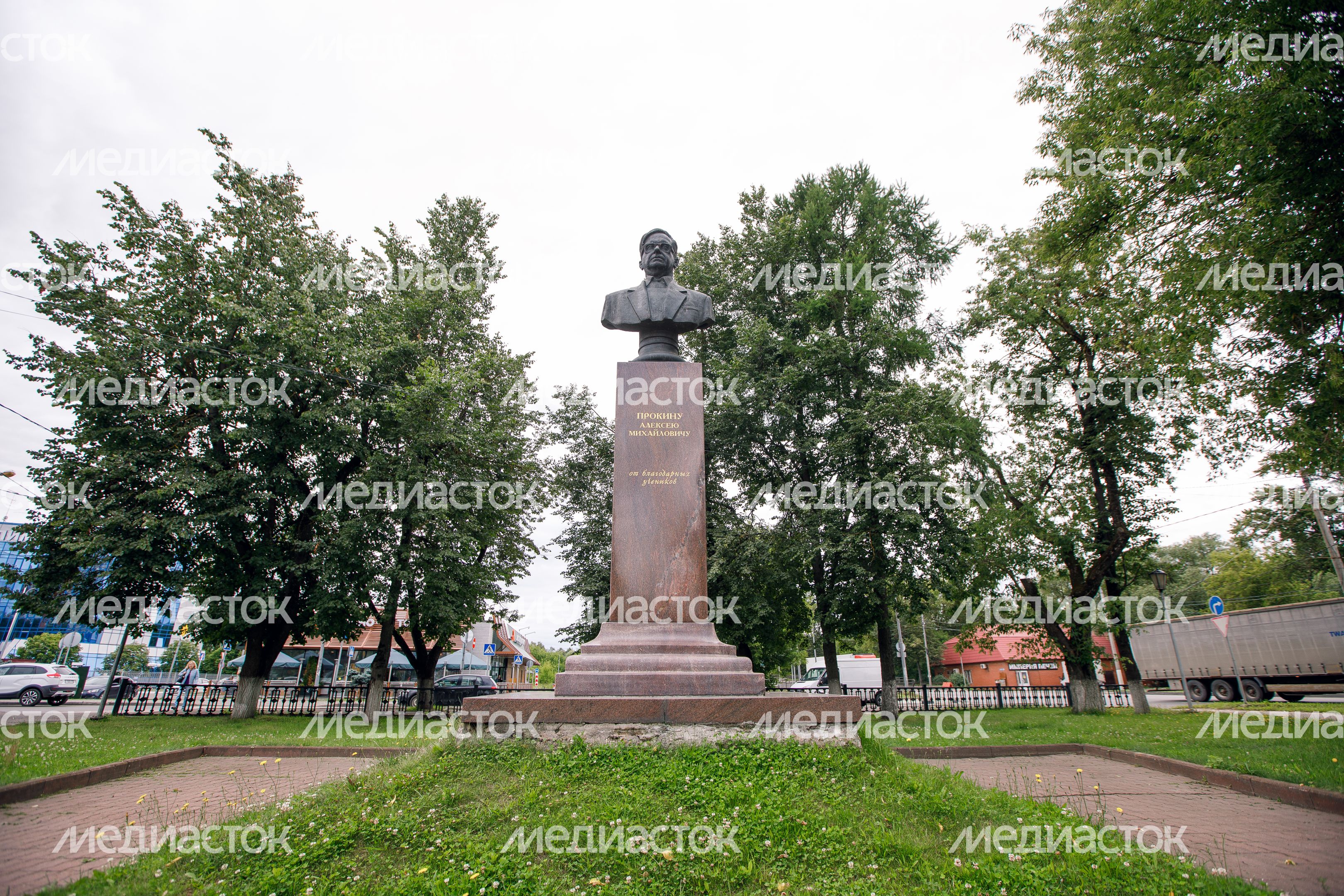 Чехов. Памятник Прокину А.М. Чехов. Памятник Прокину А.М.