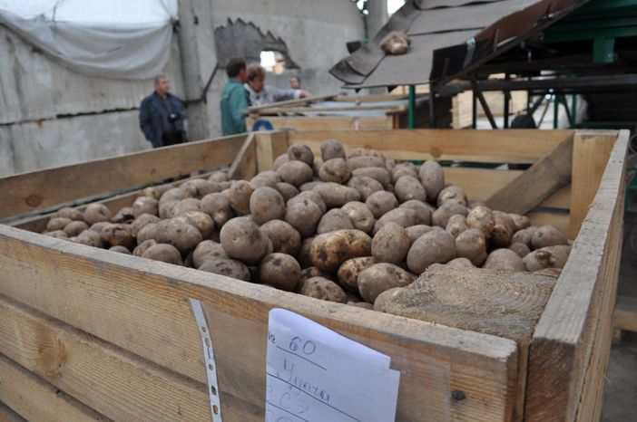 Уборка полей в Шатурском районе