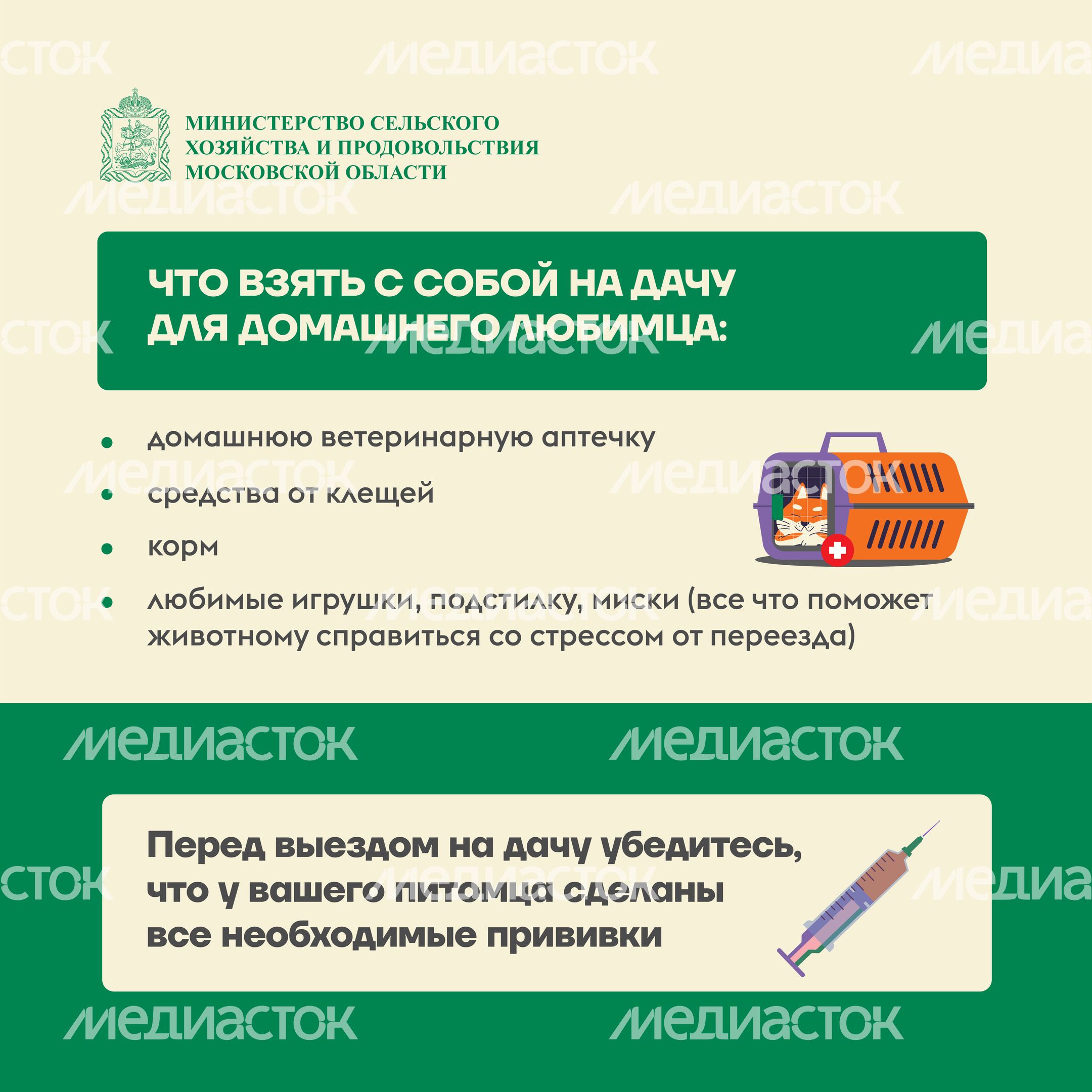 животные на даче квадрат (5)