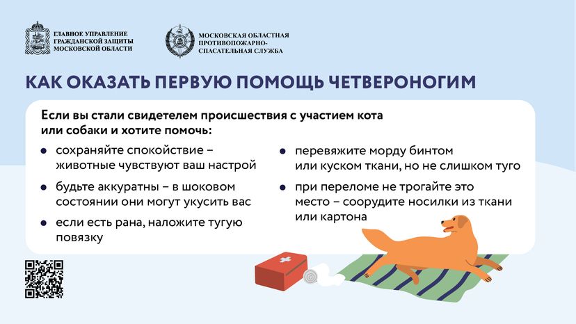 помощь усатым - горизонталь - 07