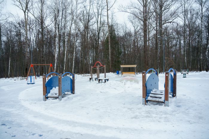 Кашира. Городской парк. Зима
